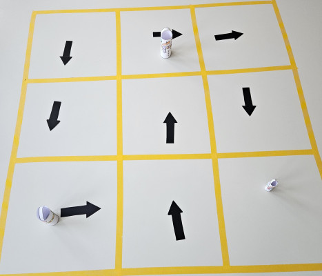 Kaip surasti sniego senių šeimą?